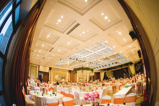 大慶藝群婚慶 以專業(yè)匠心，雕琢您的豪華婚禮夢(mèng)想