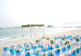 愛(ài)在天涯，情定海角 三亞國(guó)際婚慶節(jié)盛大啟幕，打造浪漫產(chǎn)業(yè)新標(biāo)桿